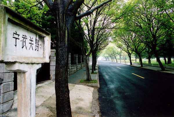 青島06-街道.JPG