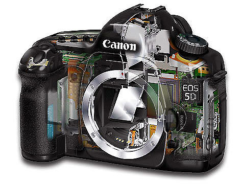 canon5d3.jpg