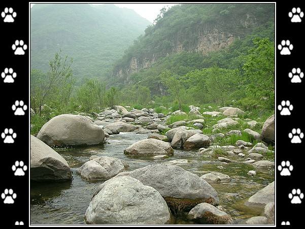 一路有大山、有碧水、有绿草、还有小花