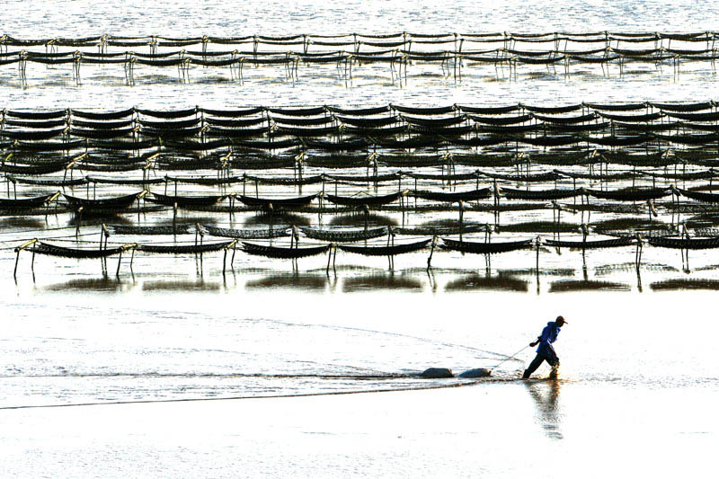 海涂纤夫.jpg