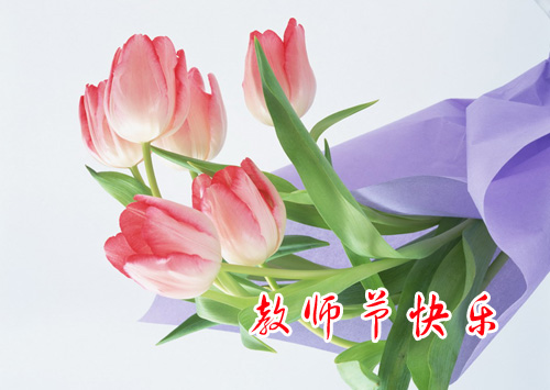 教师节快乐