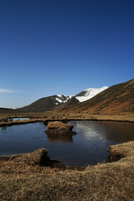 路途中的风景1.jpg