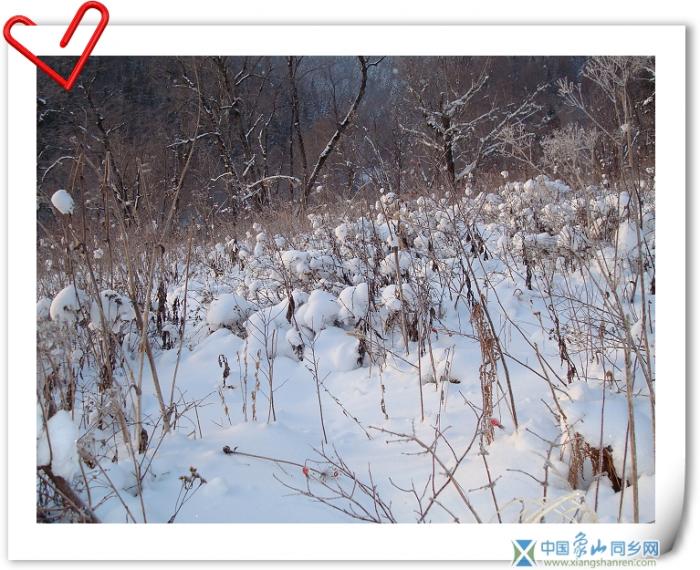 天然雪景14.jpg