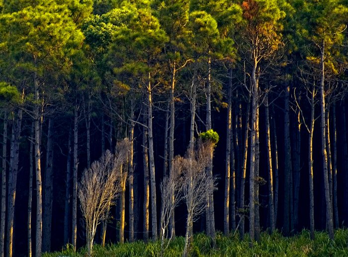 原始 00082.jpg