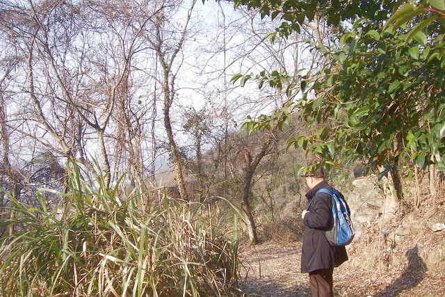 去大金山