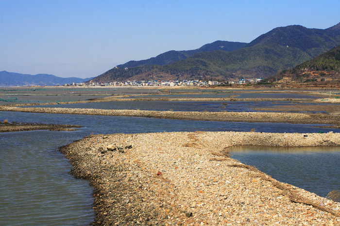 美丽大海我的家