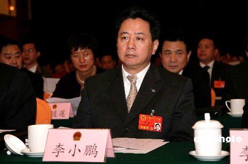 李鹏长子、全国人大代表李小鹏