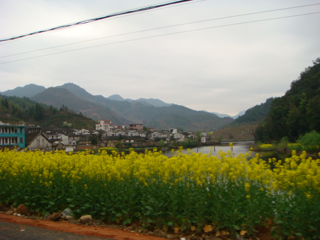 回县城路边景色不错   月亮湾