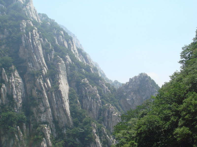 DSC01454_缩小大小.JPG