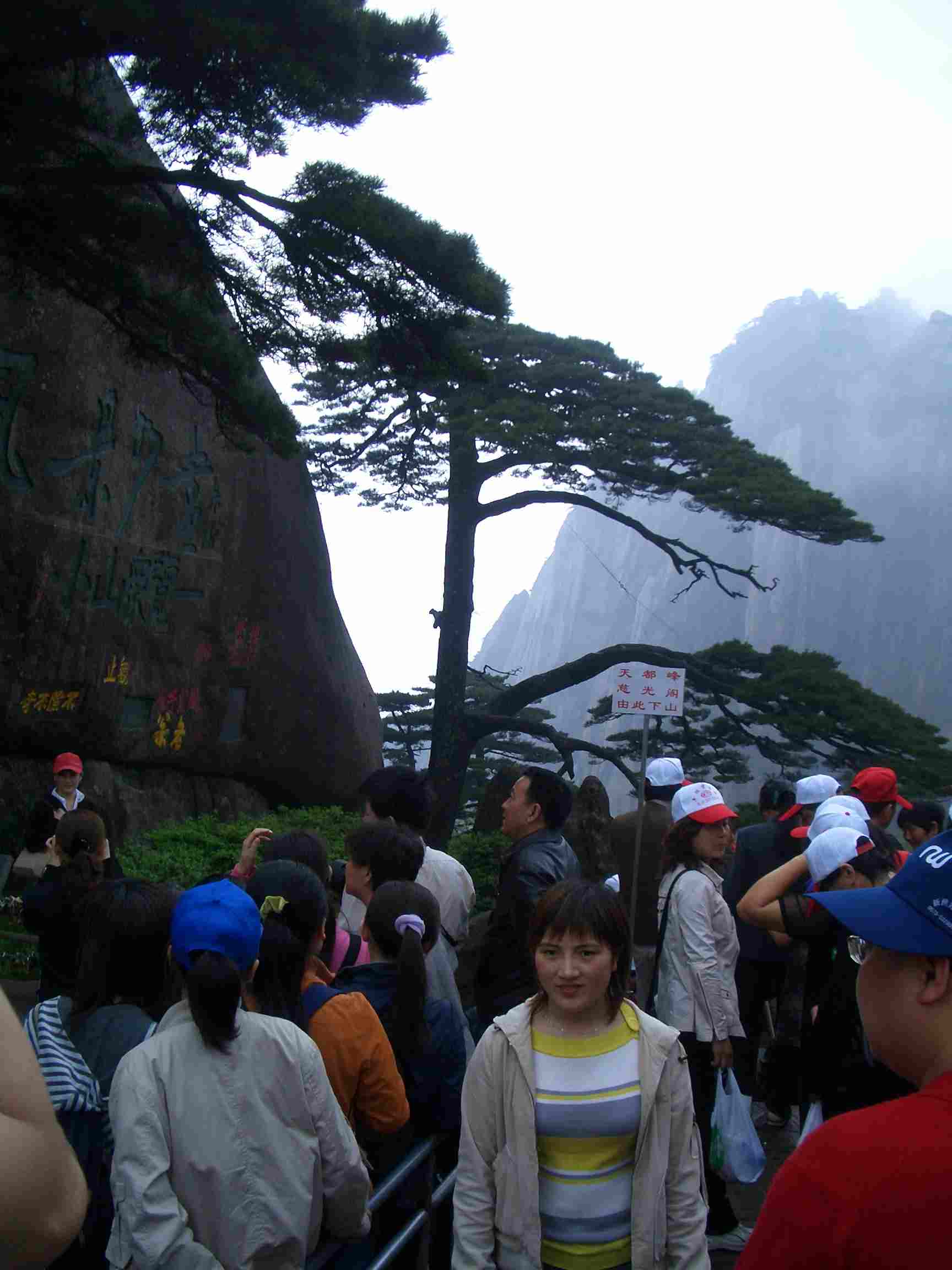 这棵是著名的黄山迎客松,游人太多,拍的角度不好