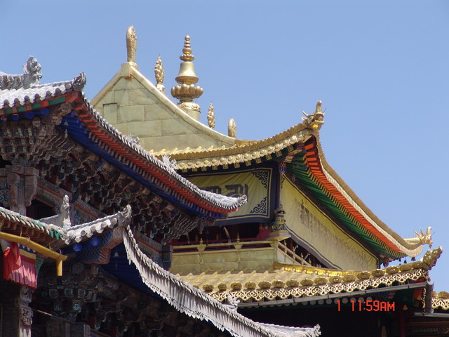 DSC03260_缩小大小.JPG