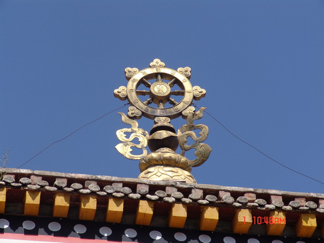 DSC03200_缩小大小.JPG