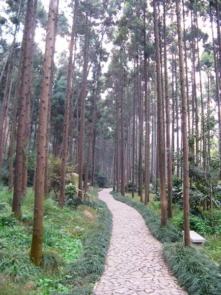 感觉自己非常渺小