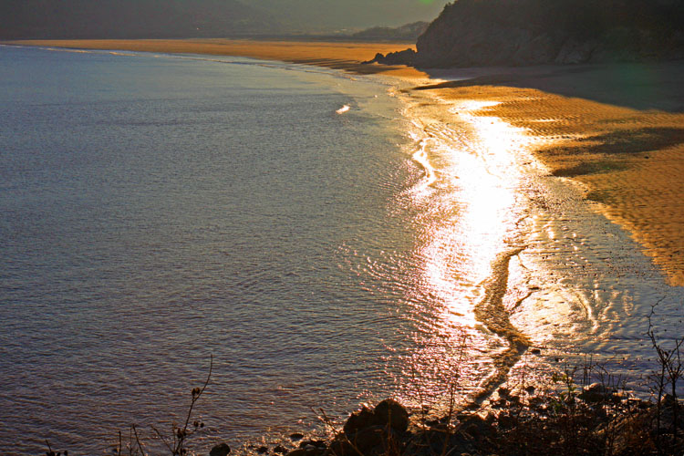 黄金海岸