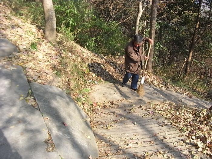 扫干净山道的落叶