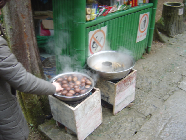 食品区