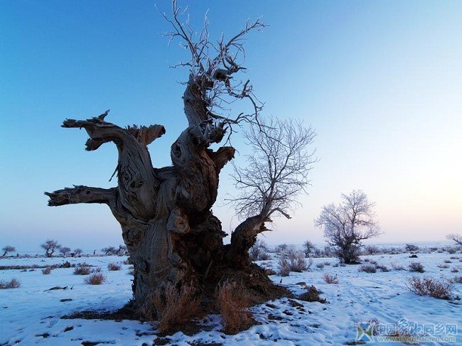 沙漠雪景7.jpg