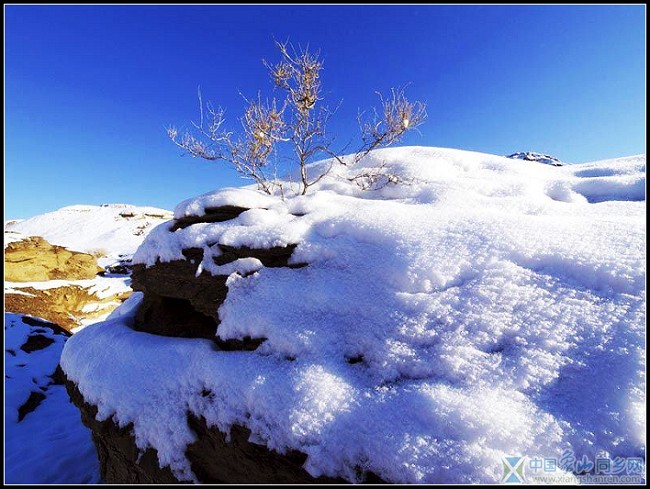 沙漠雪景2.jpg