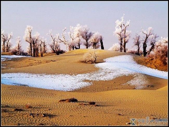 沙漠雪景11.jpg