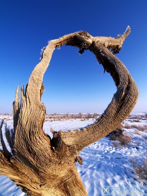 沙漠雪景9.jpg