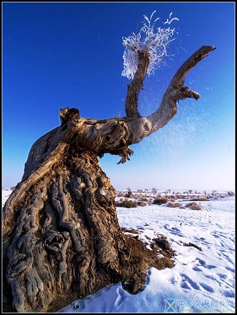 沙漠雪景12.jpg