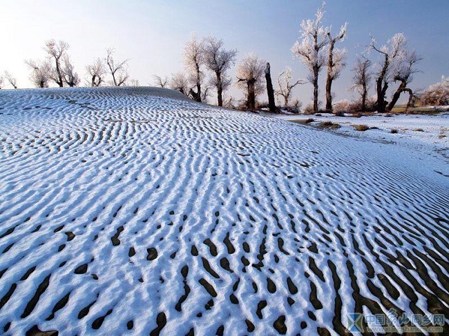 沙漠雪景8.jpg