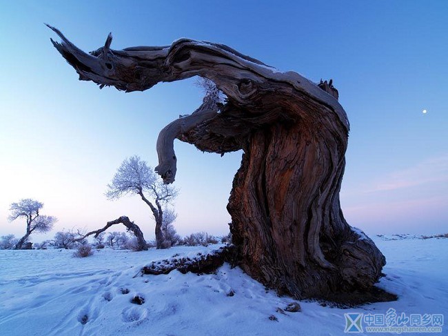 沙漠雪景10.jpg