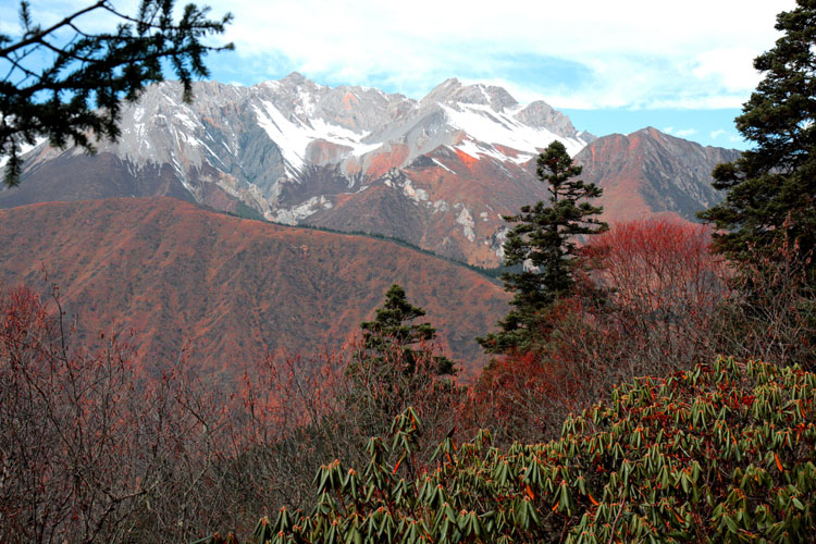 高原雪山1.jpg