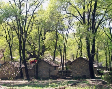 山野小屋