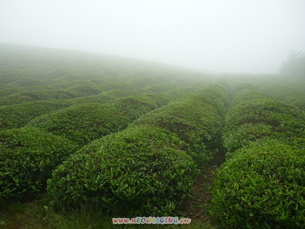 爬到山顶