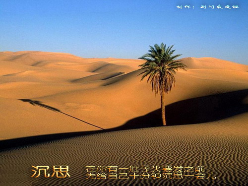 olc.photo.qq.com.jpg