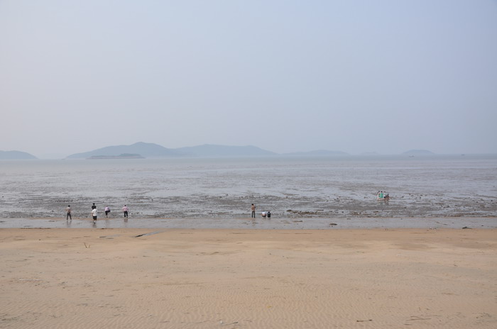 DSC_0785_缩小大小.JPG