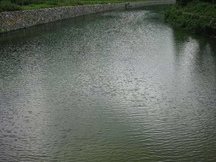 外婆家的河水，清清的！