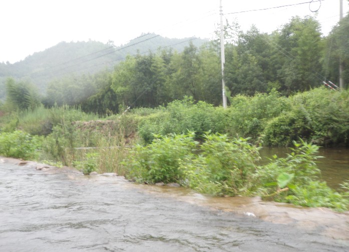 沿途风景.jpg