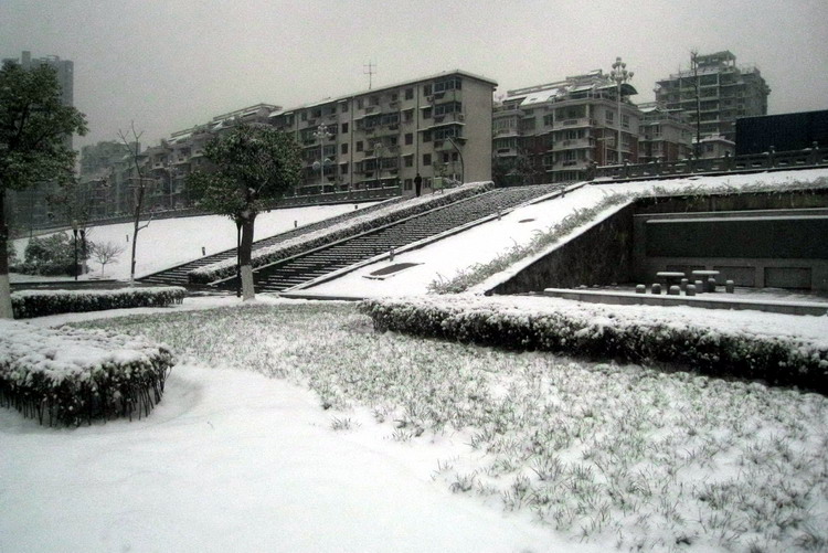 雪地