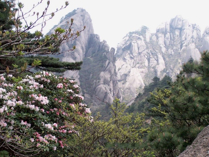 299鳌鱼峰望莲花峰.jpg