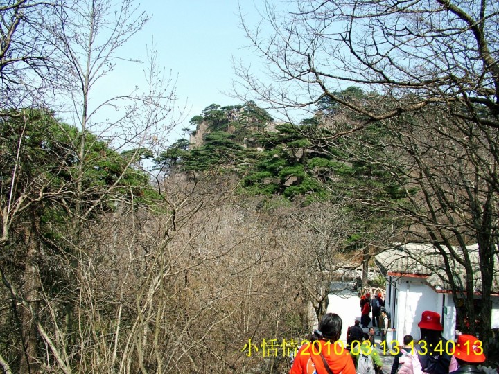 432沿路风景.jpg