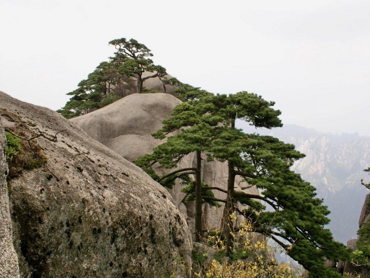 44天都峰顶峰风光.jpg