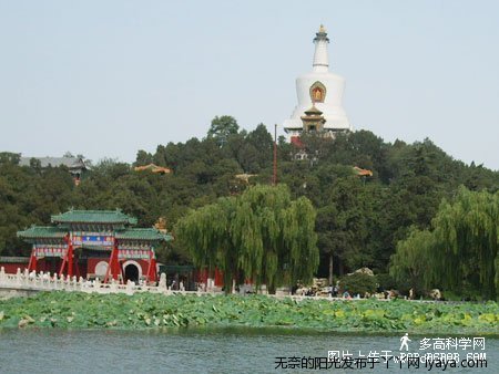 wunaideyangguang-074444-987.jpg