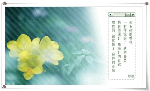 陌上花开.jpg