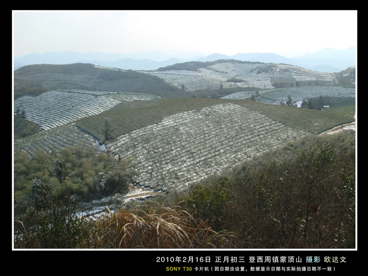 蒙顶山 茶场 雪1.jpg