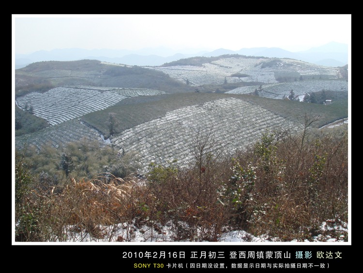 蒙顶山 茶场 雪.jpg