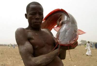 argungu-fishing-festival-nigeria-03.jpg