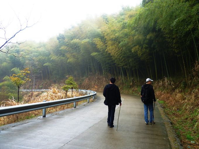 环山公路散步篇