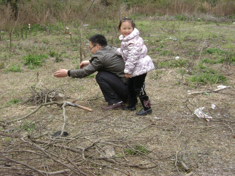 砍柴辛苦乐乐来敲背